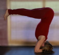 Yoga Murwillumbah - Julie Dixon